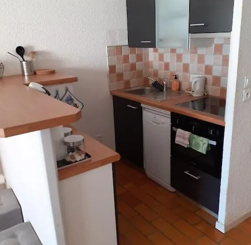 Plein Sud, Vue Mer, Parking, Clim Apartment *