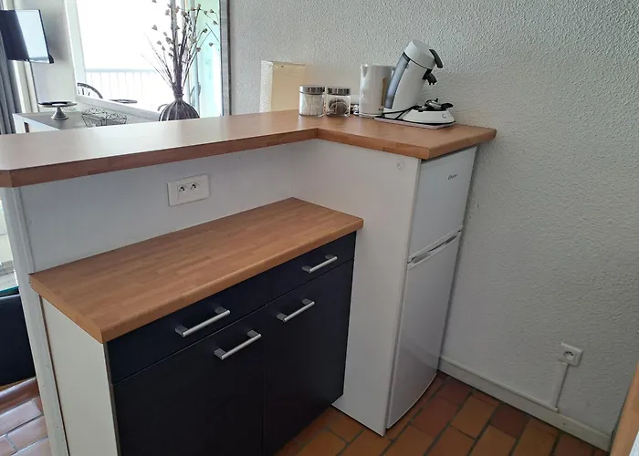 Apartment Plein Sud, Vue Mer, Parking, Clim Agde